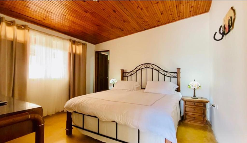 Finca Hotel El Laurel - Parque Del Cafe Montenegro Ngoại thất bức ảnh